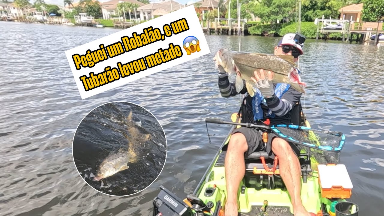 “Peguei um ROBALO GIGANTE e um TUBARÃO levou a metade!” 🦈🎣