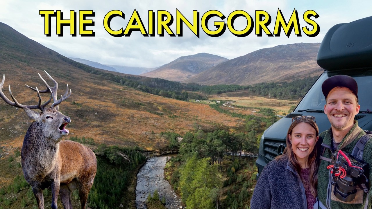 THE CAIRNGORMS от CAMPERVAN: Осень в лучшем виде