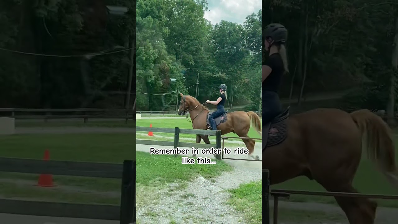 people don&rsquo;t understand it&rsquo;s the bad rides that count. #saddlebred #horse #equestrian #saddleseat