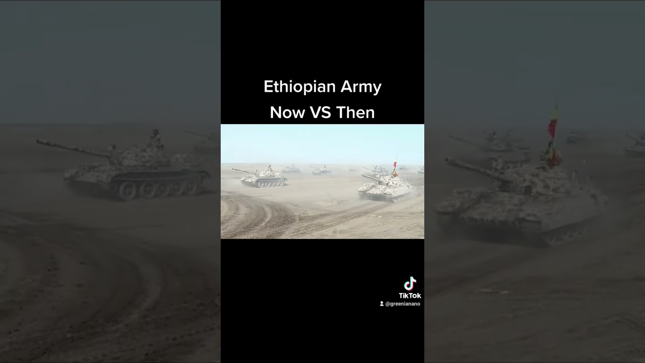 Ethiopian Army [Now VS Then]