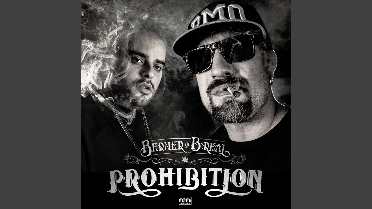 Faded (feat. Snoop Dogg & Vital)