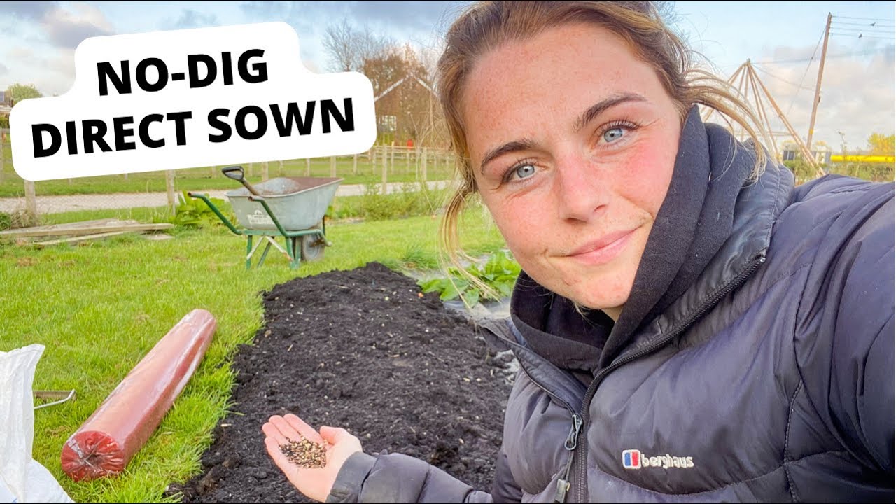 Creating a No-Dig, Direct Sown Flower Bed (experiment)