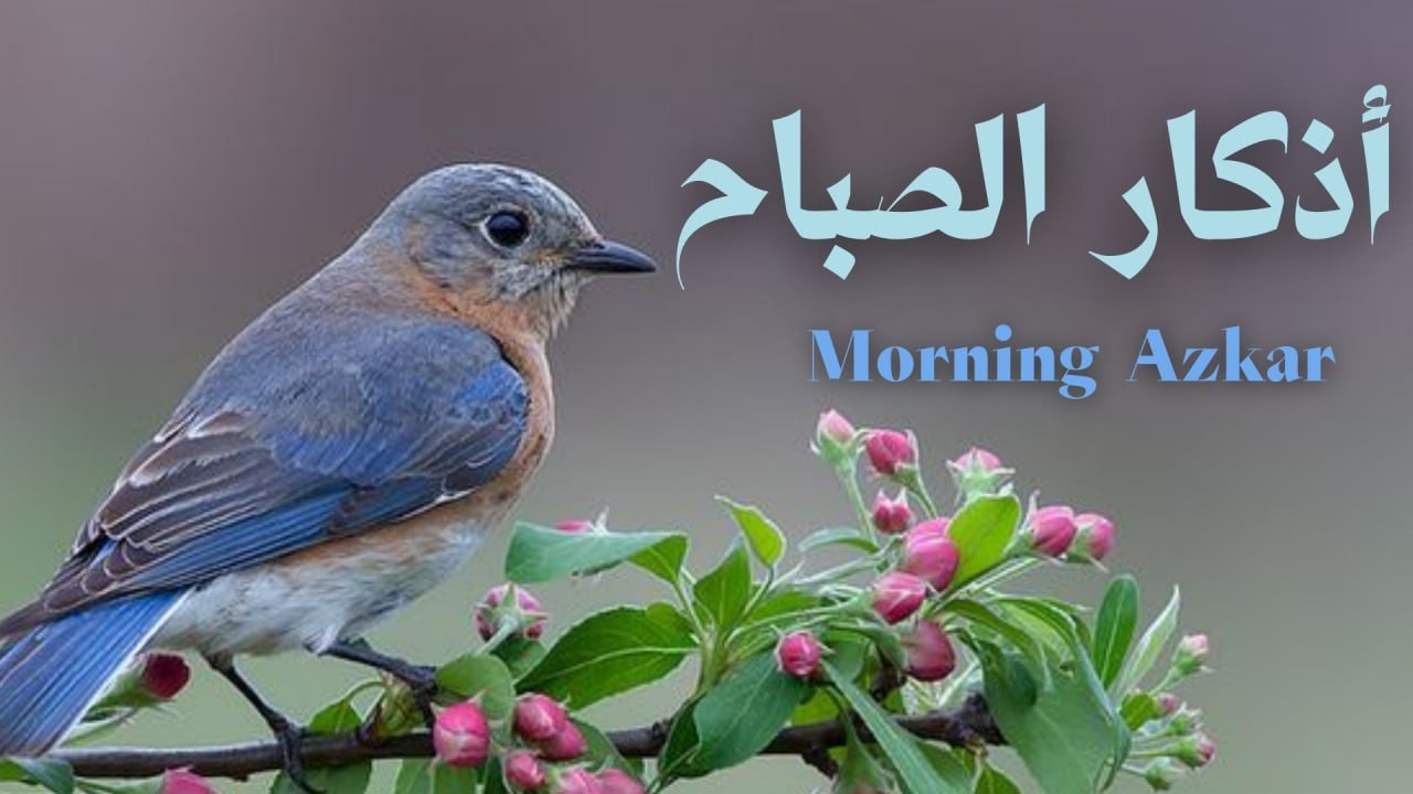 أذكار الصباح - راحة نفسية لا توصف بصوت القارئ علاء عقل | Morning Athkar - Dzkir Pagi