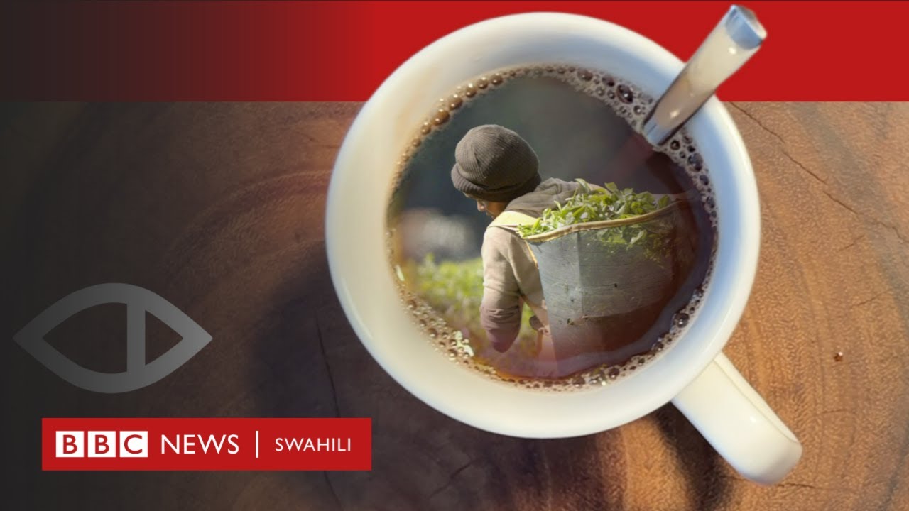 BBC Africa Eye: Unyanyasaji wa kingono kwenye mashamba ya chai wafichuliwa nchini Kenya
