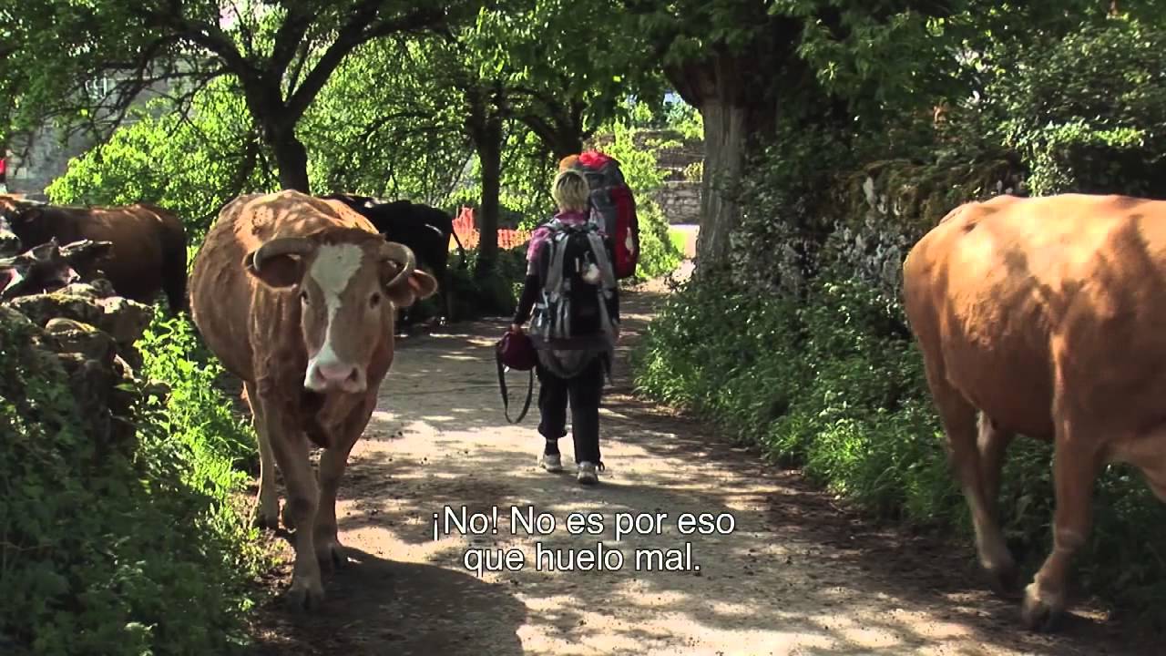 Buen Camino trailer Español