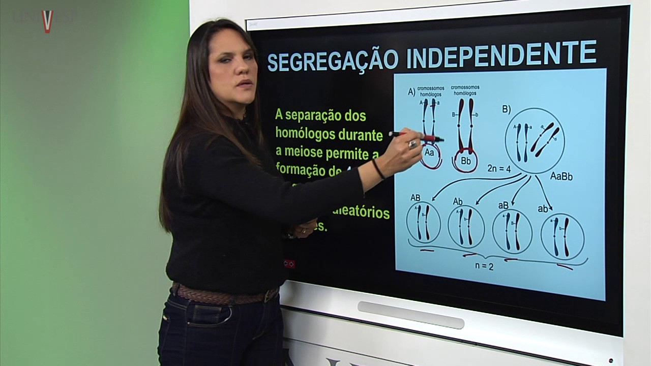 Genética - Aula 06 - Teoria da Herança Cromossômica