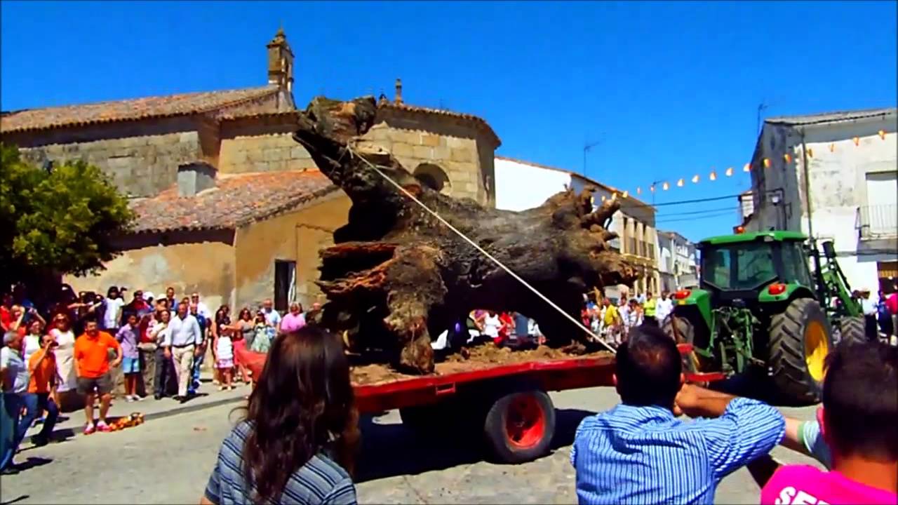 TUERO 2014