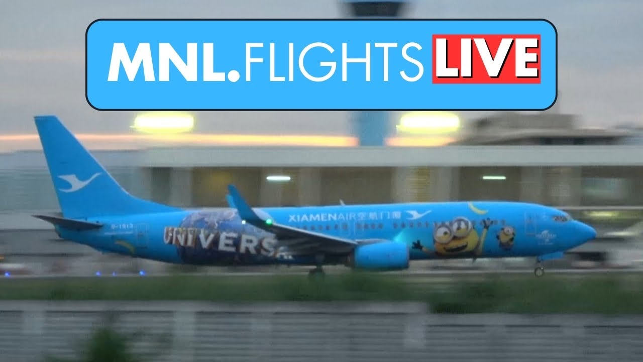 🟡 [4K] COOL Minions 🍌 Livery! on Xiamen Airlines B737 ✈️