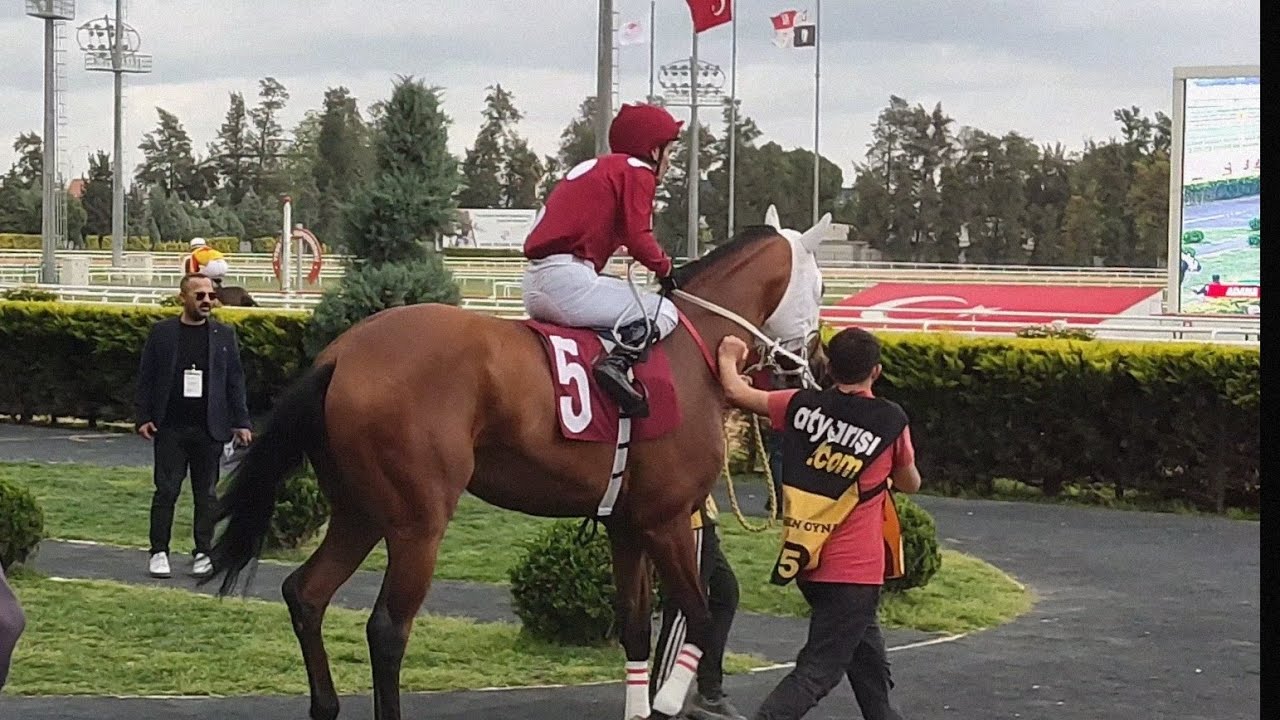 TJK SUPERBELLA JOKEY SELIM KAYA, ZAMBUR AGA, GALİBEY 05.04.2025 #tjk #horse #yarışatı #adana