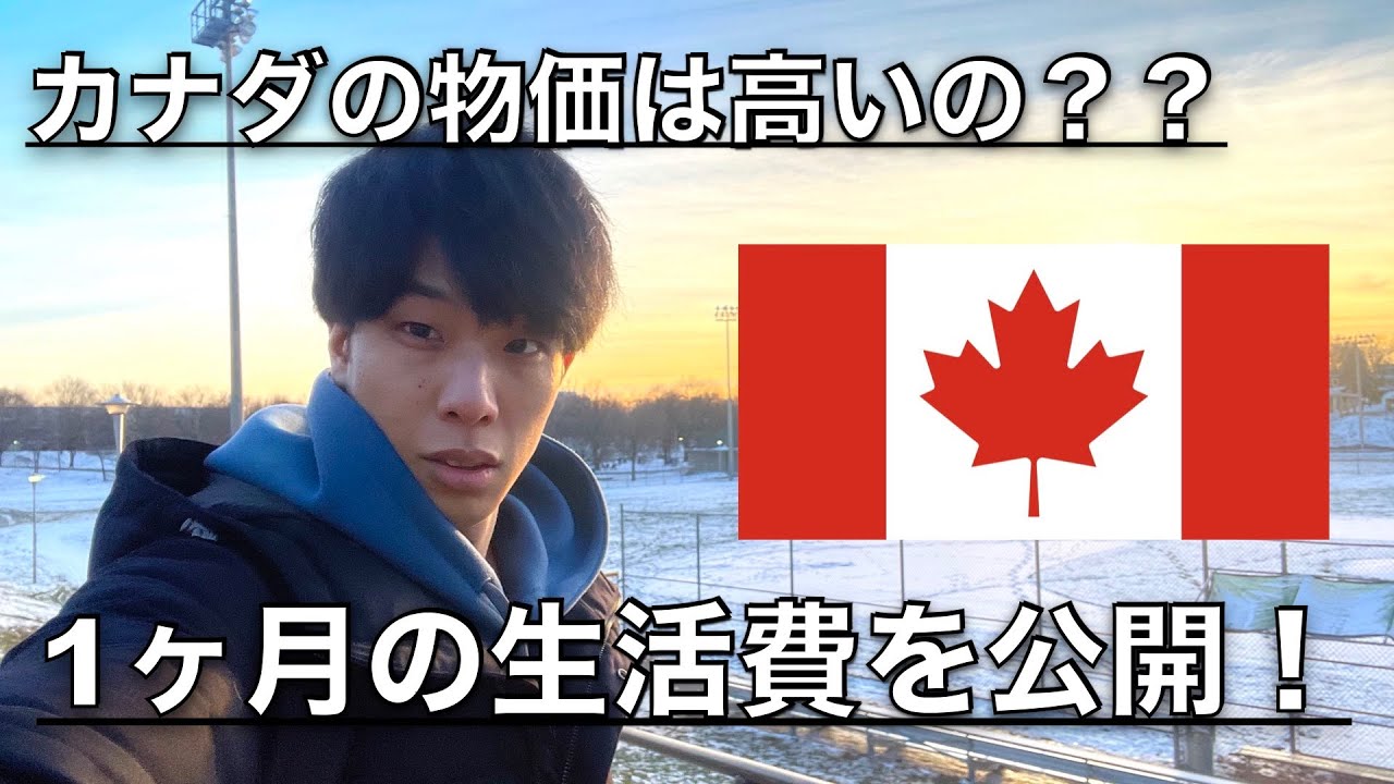 【留学必見！】カナダの生活費ってどれくらい？某サイトと実際の生活費比べてみました！#社会人留学 #トロント