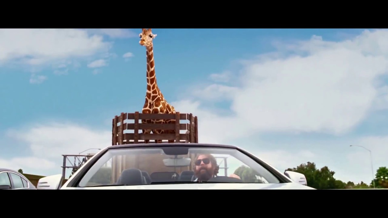 Hangover 3 giraffe scene full HD - hang over funny scene's