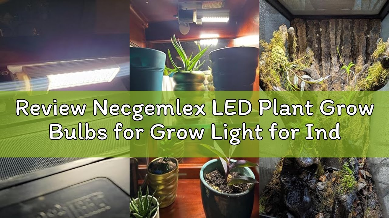 Review Necgemlex LED Plant Grow Bulbs for Grow Light for Indoor Plants, Sun Light, 44 LEDs of 17W (5