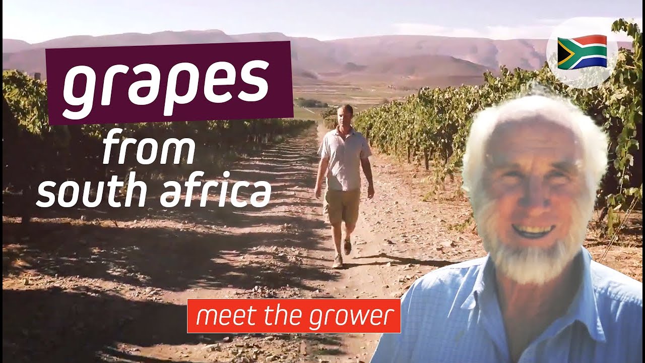 Meet The Grower in South Africa | EXSA Europe