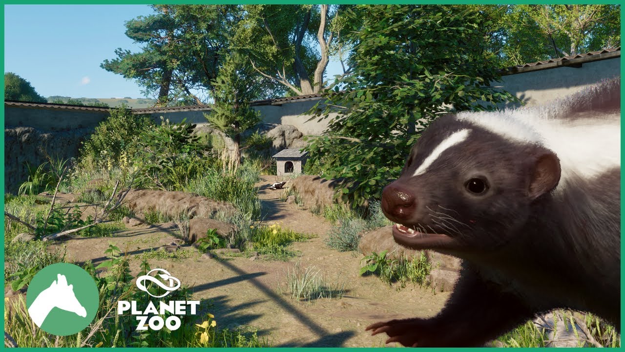 Striped Skunk Habitat | Elm Hill City Zoo | Planet Zoo