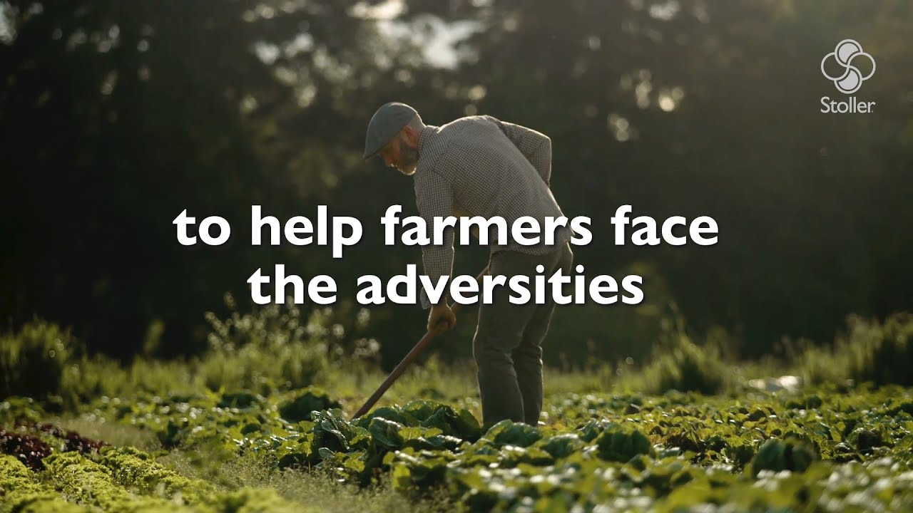 Stoller Europe | Celebrating agriculture every day