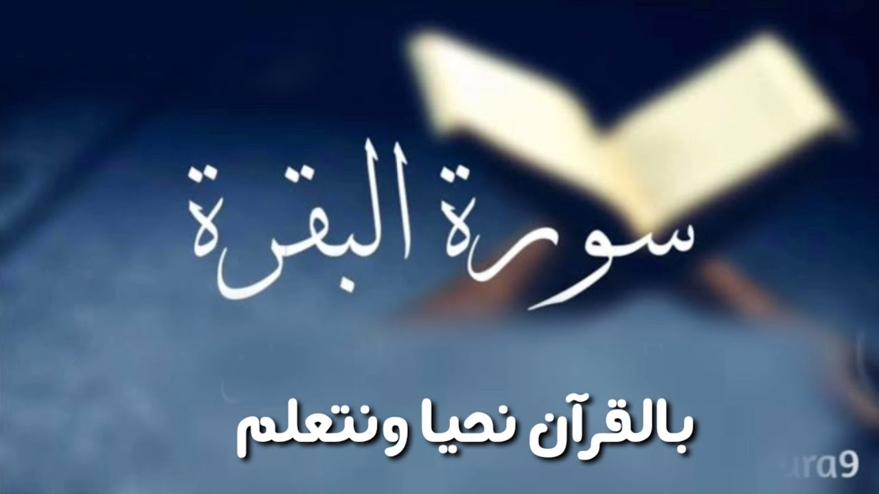 سوره البقره ( ربع تلك الرسل ) ربع 17 متشابهات وتدبر من ايه 253 الى 257