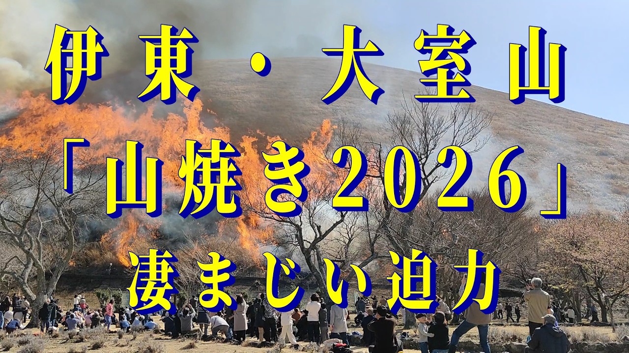 伊東・大室山　「山焼き2026」　凄まじい迫力