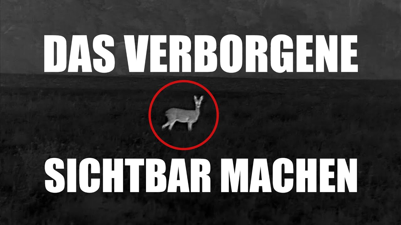 Rehe, Steinkauz und Waldschnepfe - Beobachtung mit dem W&auml;rmebildger&auml;t