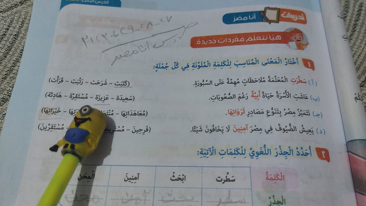 حل صفحة 27 و 28 و 29 و 30 و 31 كتاب المدرسة لغة عربية للصف السادس تدريبات درس أنا مصر 