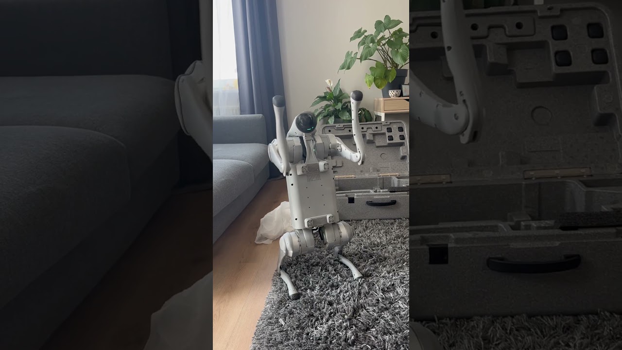Pies robot &hearts;️ Unitree Go 2