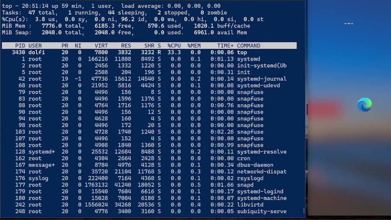 Lab 13: Where Data is Stored(ps, jobs, kill, htop, pkill)