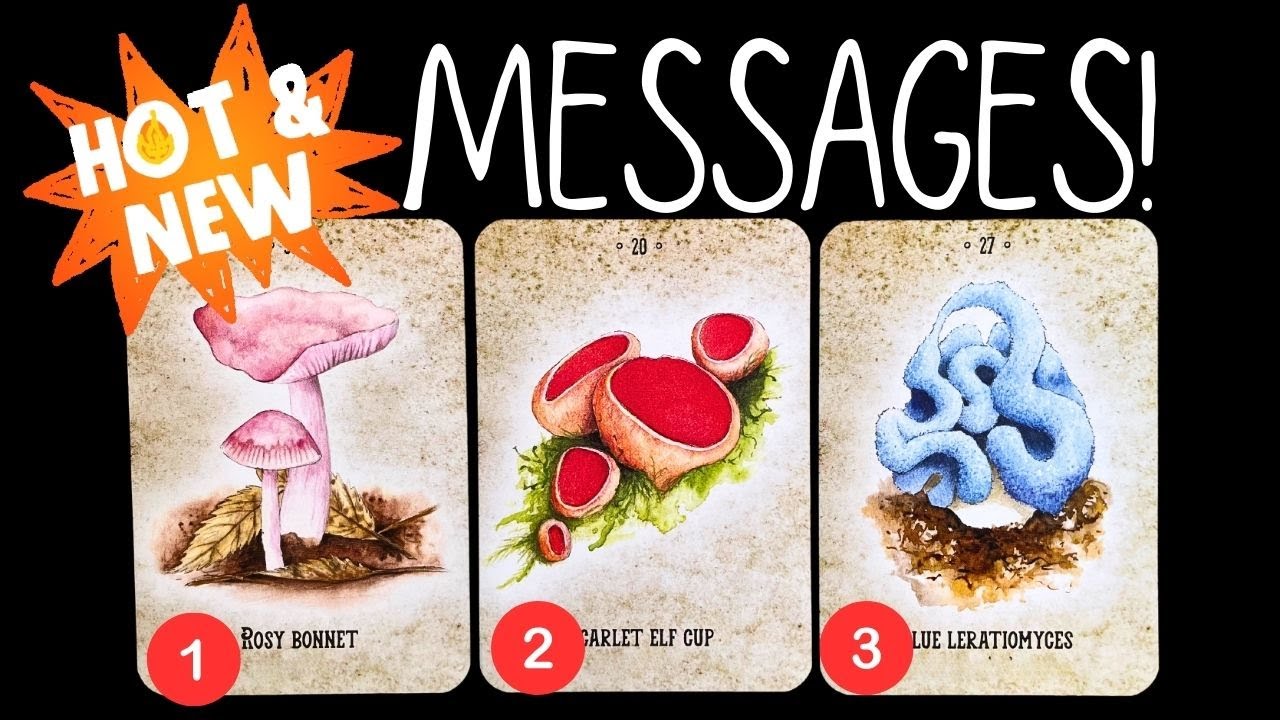 The Latest NEWS From Your Spirit Guides?✨🕯️💥💌✨pick a card reading 🃏 tarot card reading