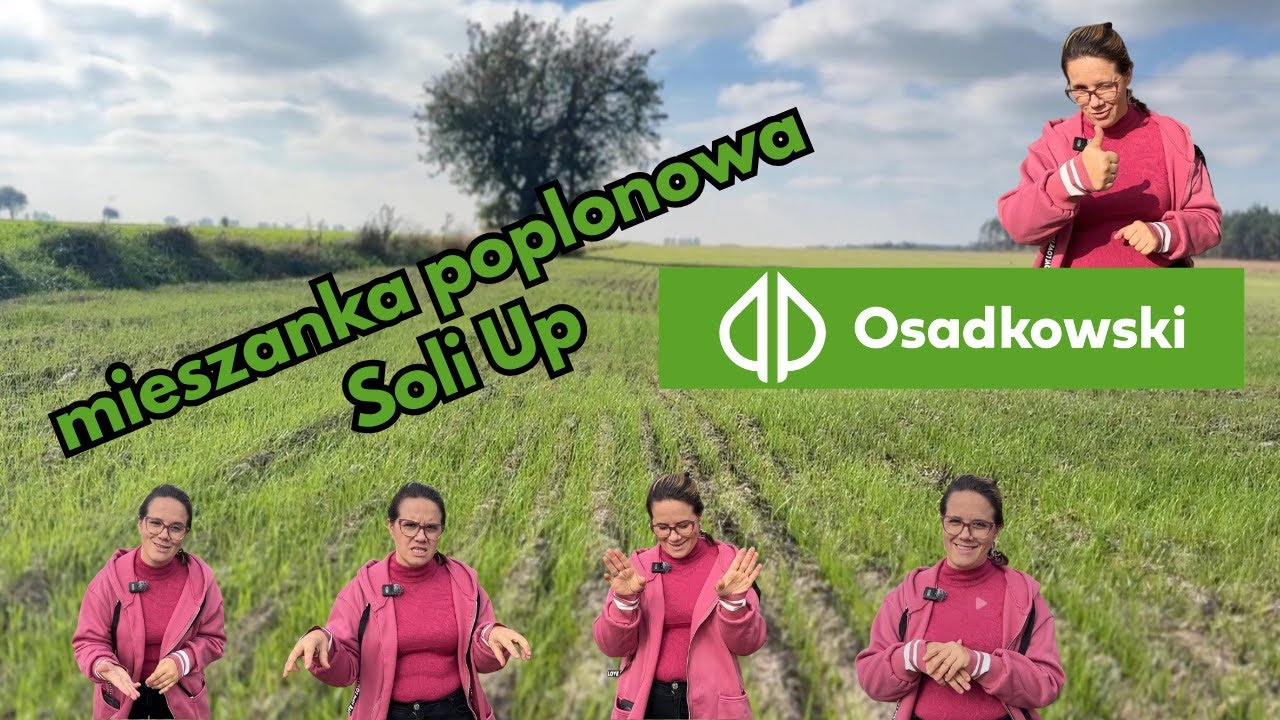 Dlaczego mieszanki gorzowskie poplonowa Soil Up od Osadkowski Justyn Łukasz Rolnicy z Podlasia