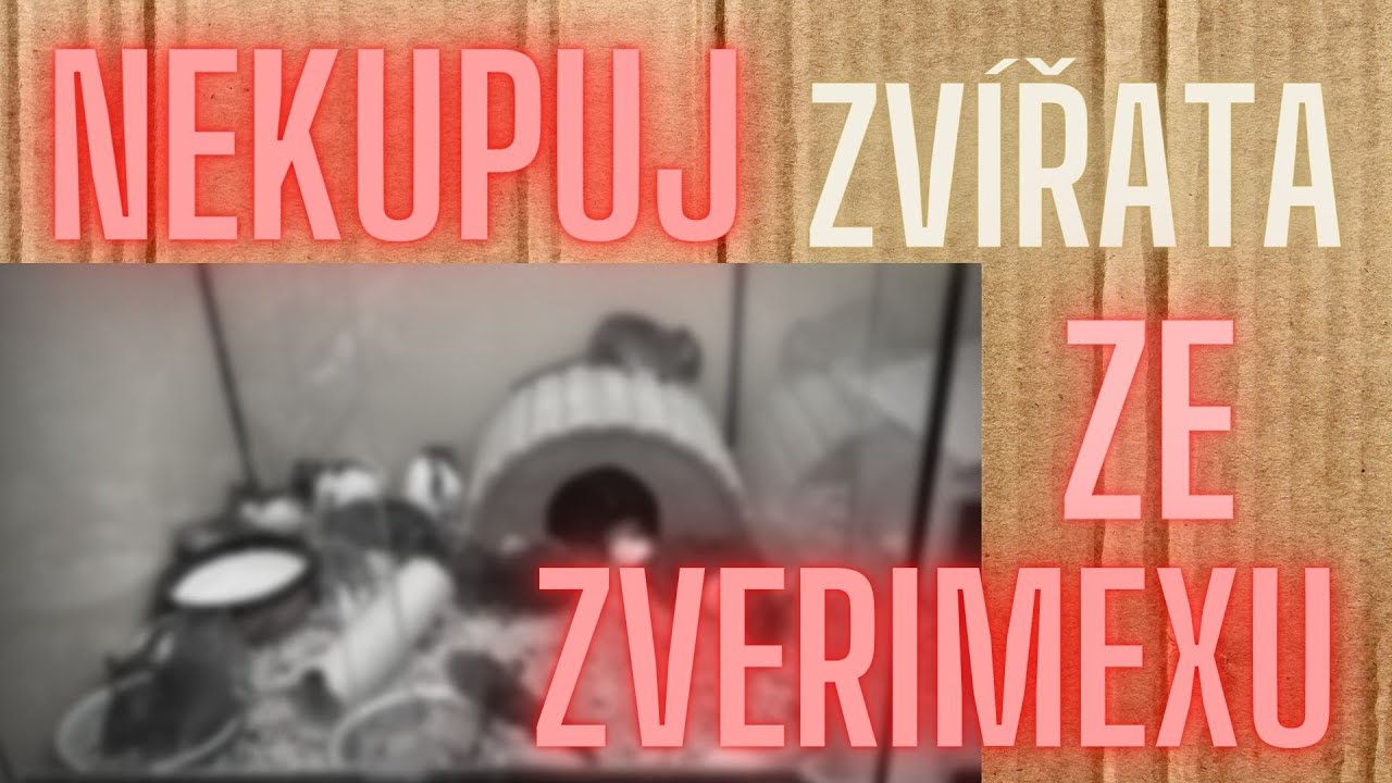 NE zv&iacute;řatům ze zverimexů!