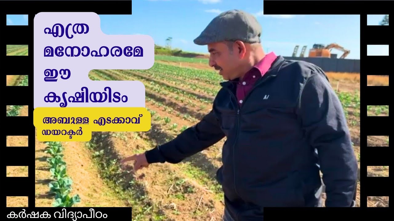 എത്ര മനോഹരം.. ഈ കൃഷി...