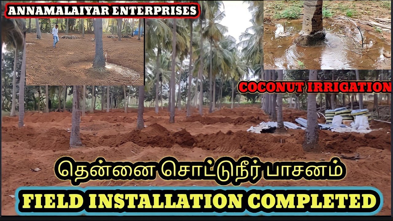 Coconut irrigation || Pvc coconut Save water ||தென்னை பாசனம் Drip irrigation by annamalaiyar