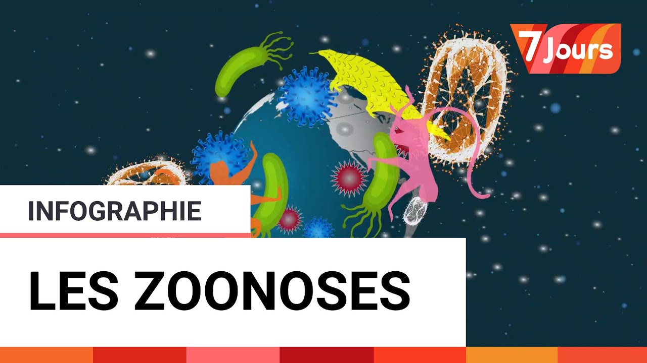 Pourquoi surveillons-nous les zoonoses ?