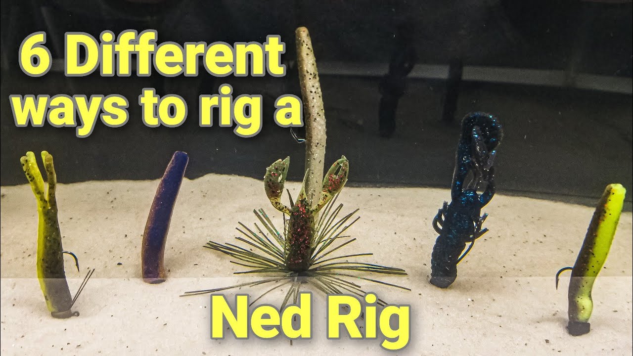 How to rig the ned rig 6 different ways with underwater footage | Z Man baits