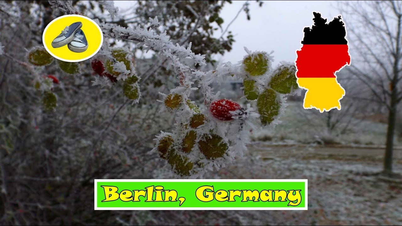 🇩🇪 Berlin February Walking Tour l East Side Gallery ⟶ Oberbaumbr&uuml;cke ⟶ Molecule Man