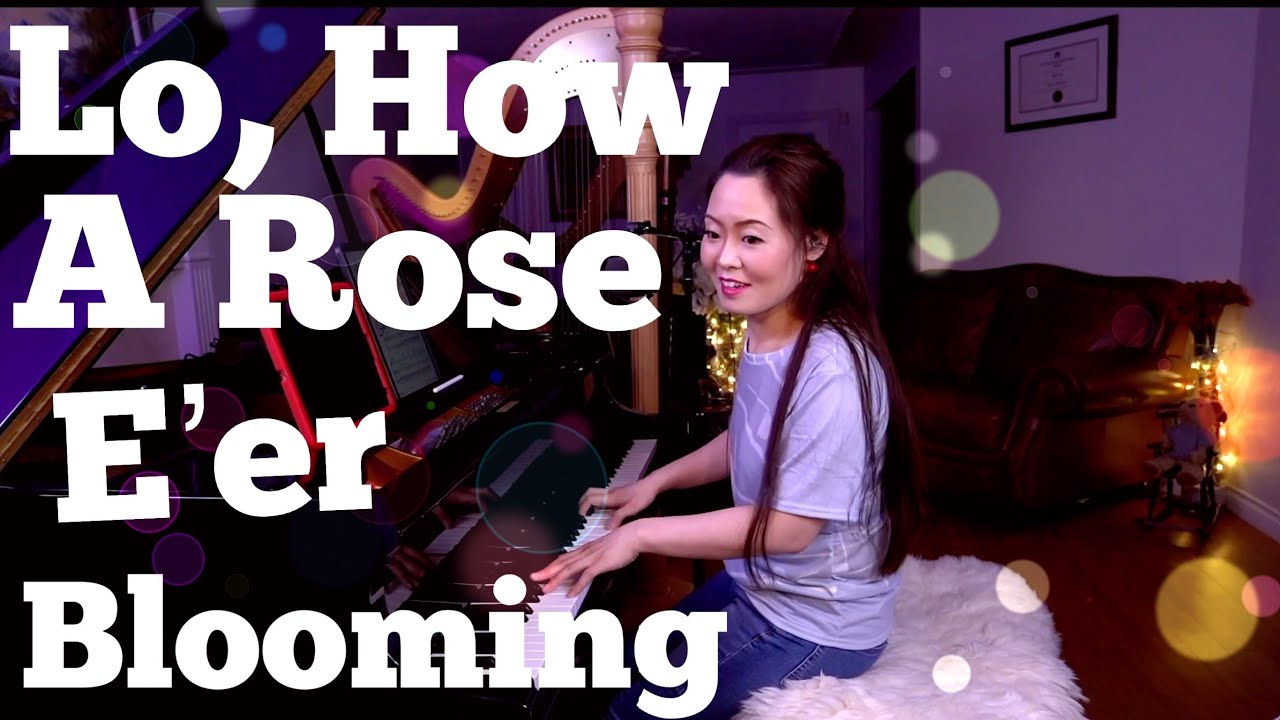 Lo, How a Rose E'er Blooming | Twitch Request Played by PianistMiri