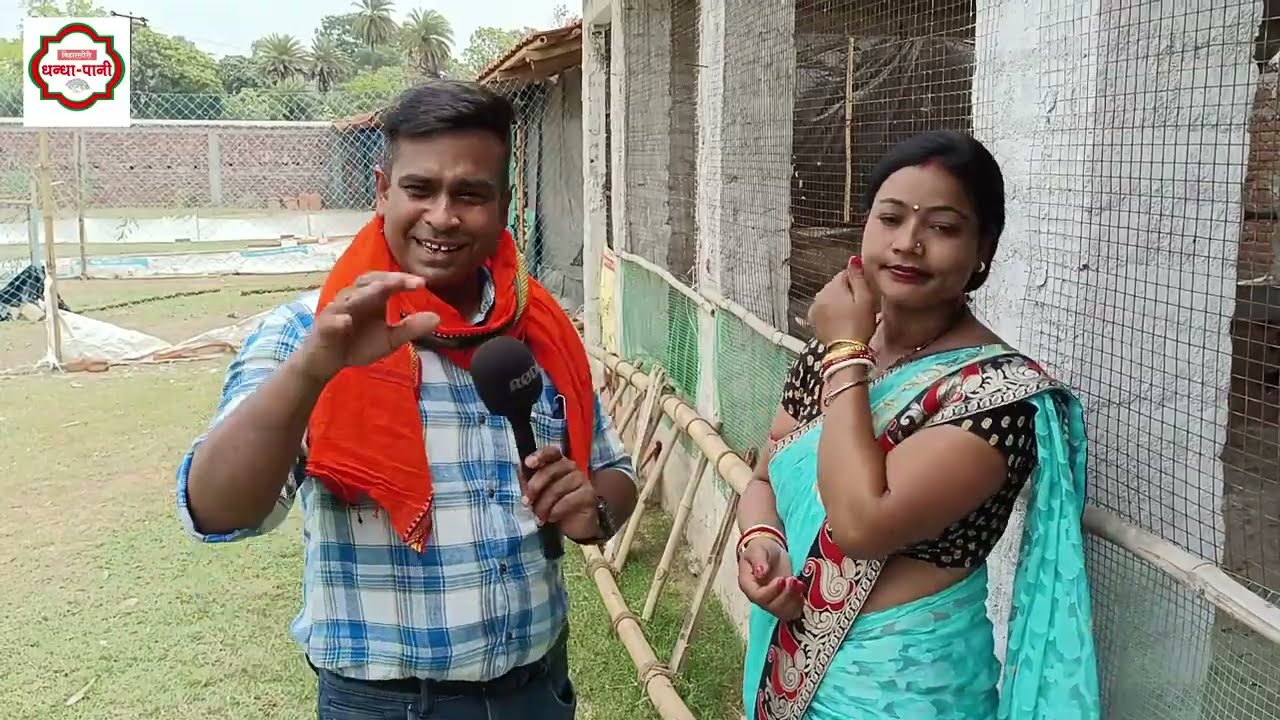 ASEEL FIGHTER DESI MURGA PALAN |असील मुर्गा पालन से अच्छा मुनाफा  हो सकता  है😇FIGHTER MURGA BUSINESS