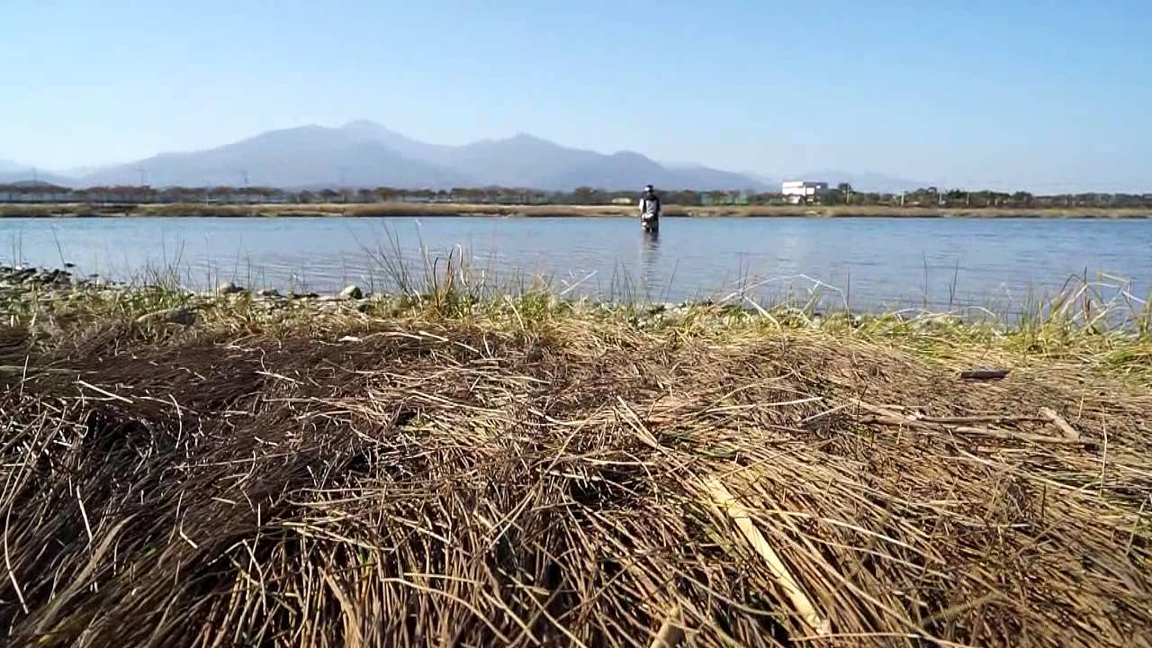 최총재님연어플라이