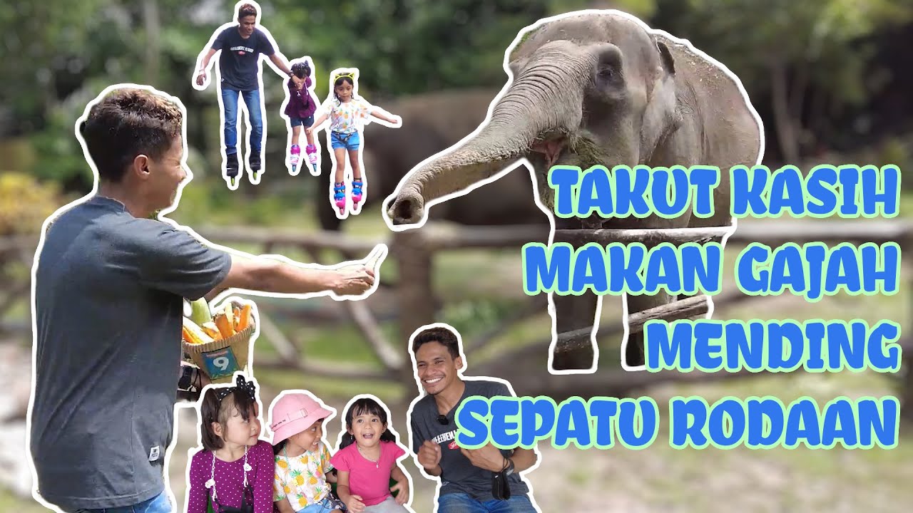 MAIN KE KEBUN BINATANG KETEMU SODARA || BARENG LEIKA DAN TEMEN
