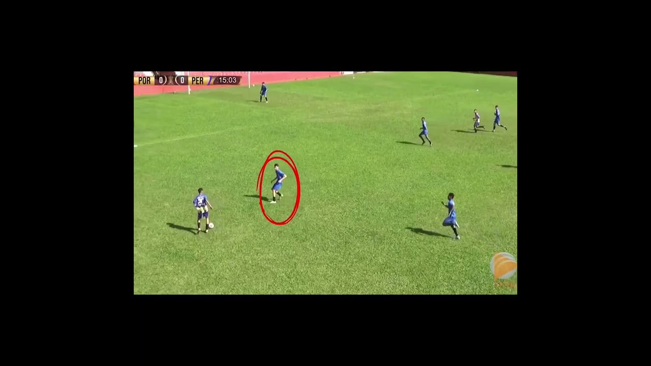 MELHORES MOMENTOS GUSTAVO GOMES 2023/2024