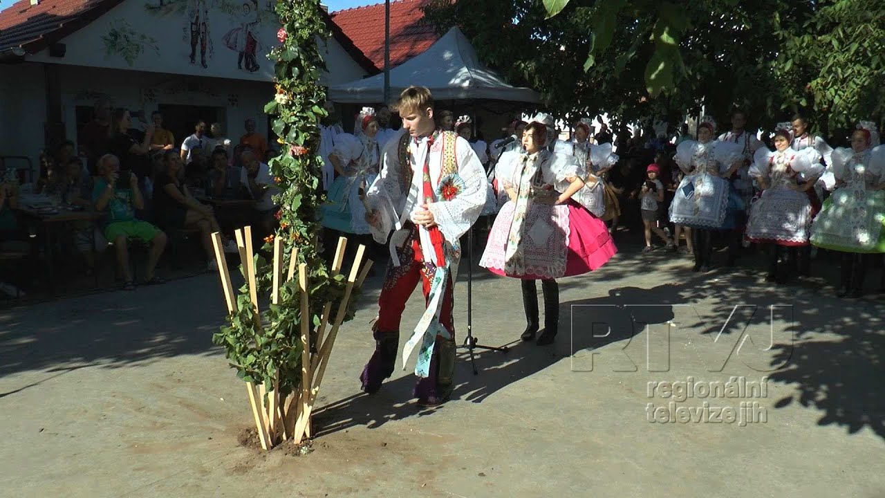 V Pru&scaron;&aacute;nk&aacute;ch se do presov&aacute;n&iacute; hroznů pustily budouc&iacute; naděje vinařů i folkloru