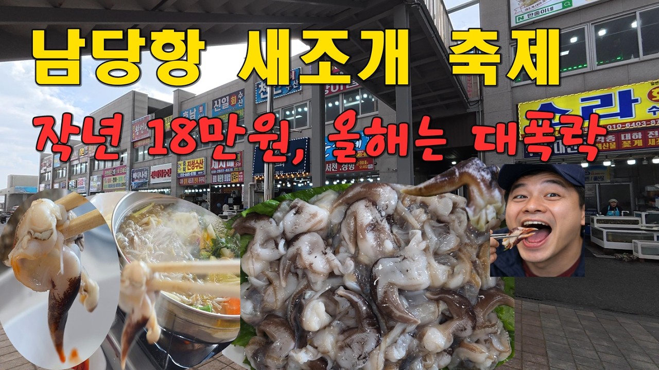남당항 새조개 작년 18만원 하던 것이 올해는 대폭락 #새조개축제 #새조개 #남당항새조개