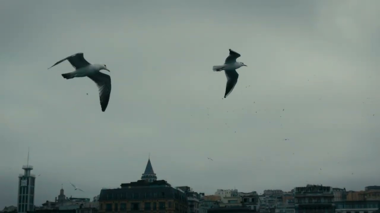 One day in Istanbul. Shot with Iphone 17 PRO Max #production #FILMMAKING