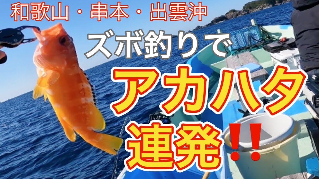 【串本カセ】根魚アタリ連発⁉️2025.2.14⭐︎谷口渡船