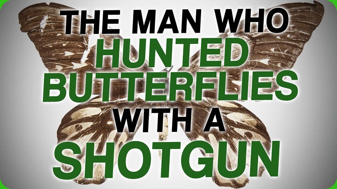The Man Who Hunted Butterflies With a Shotgun