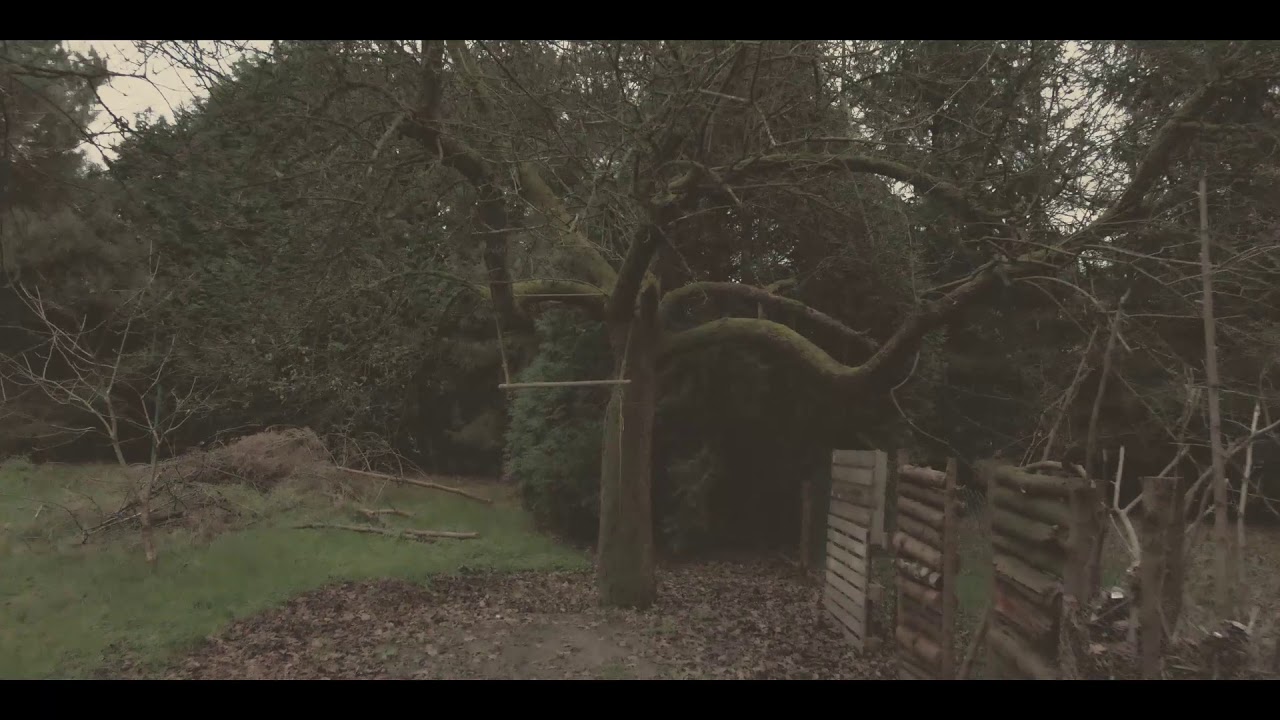 't Vliegend Varken