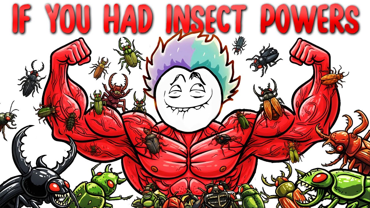 What If You Had Insect Superpowers? [ANIMATION]