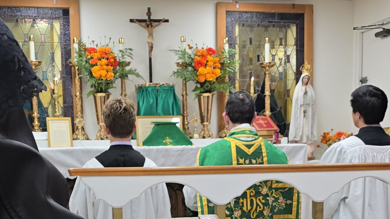 Our Lady Mediatrix of All Graces and Co- Redemtrix, ora pro nobis! - Fr. Polley's sermon Nov 2025