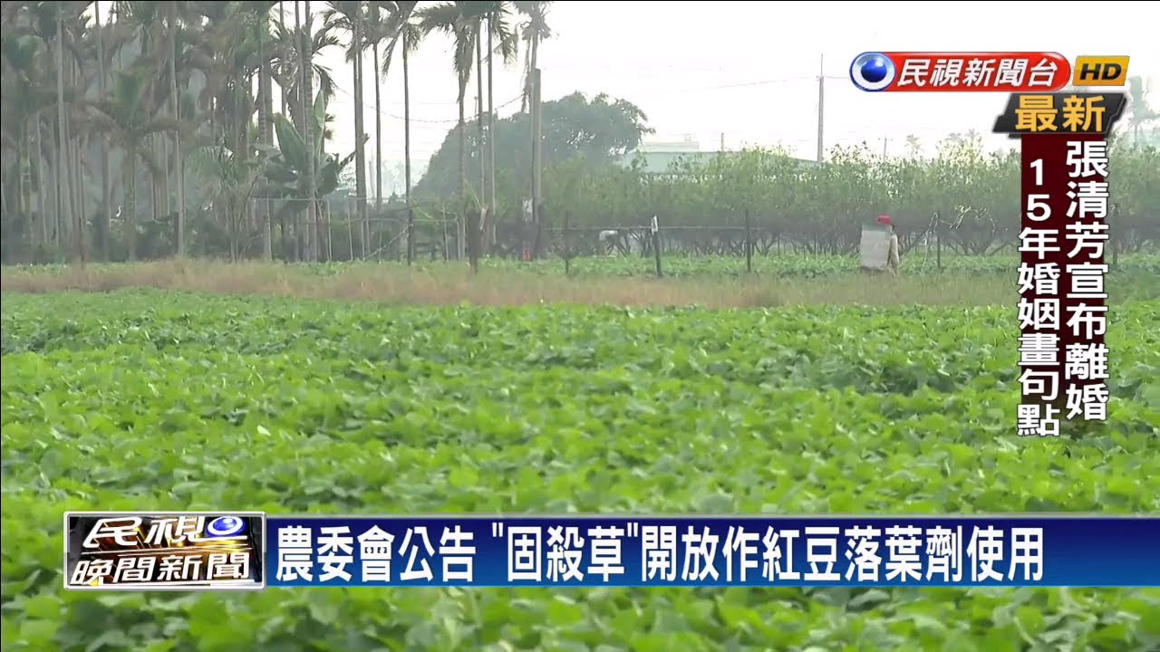 「固殺草」開放作紅豆落葉劑使用 引農民反彈－民視新聞