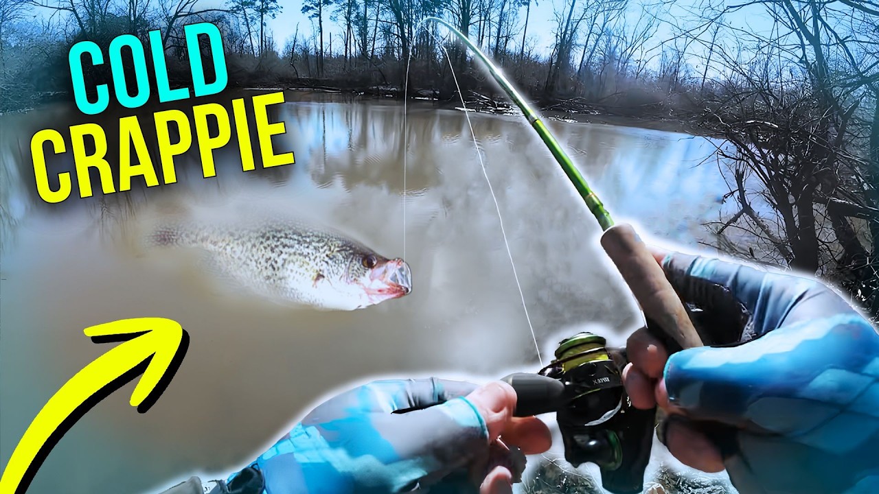 🥶 CREEK CRAPPIE FISHING FROM THE BANK IN FREEZING TEMPERATURES 🥶