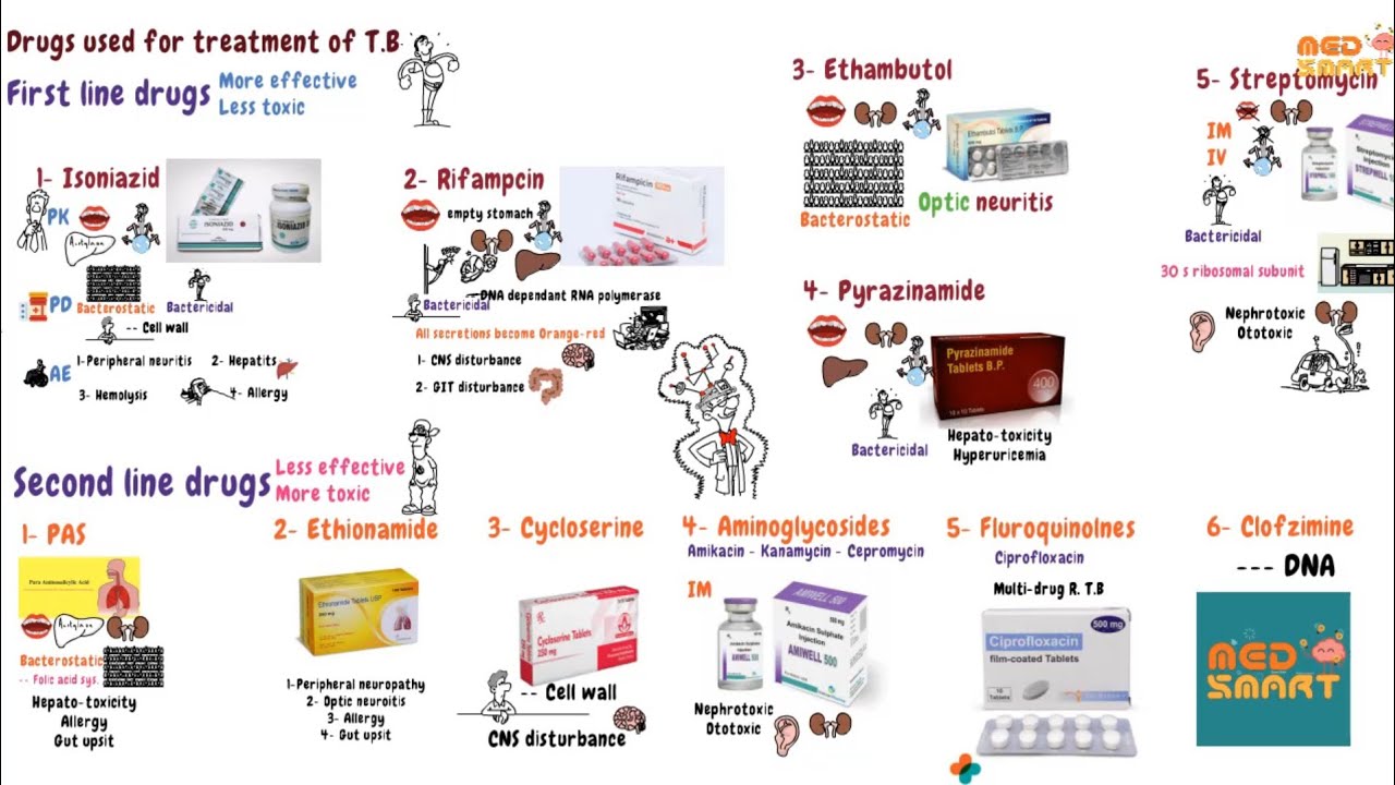4- Treatment of tuberculosis ( Pharmacology )