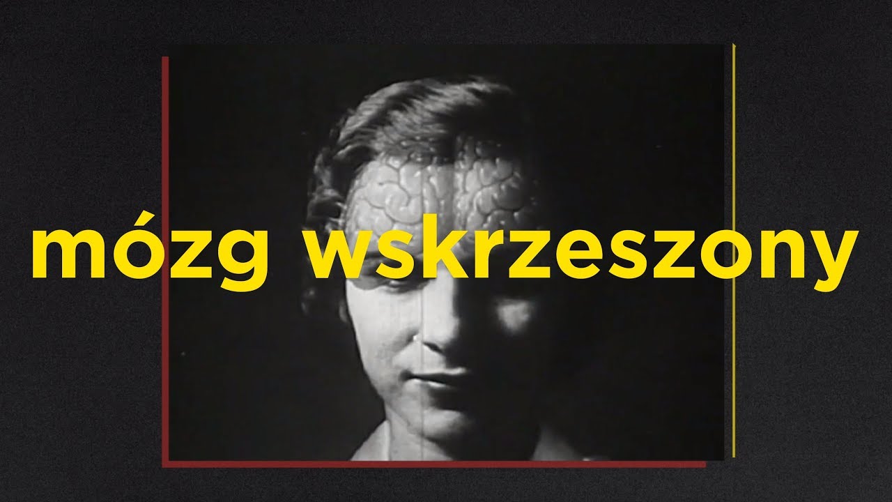 Naukowcy przywrócili aktywność w martwym mózgu. Serio.